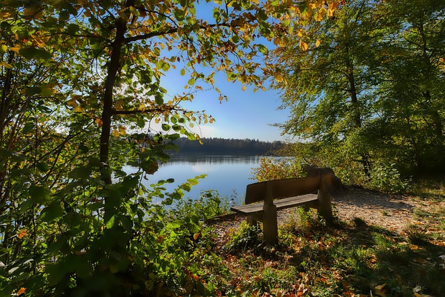 歐聯杯決賽 歐聯杯決賽