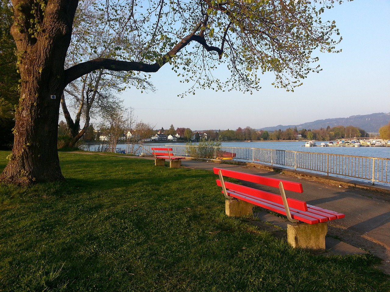 了数个高难 了数个高难